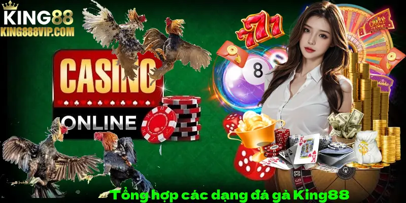 Tổng hợp các dạng đá gà King88