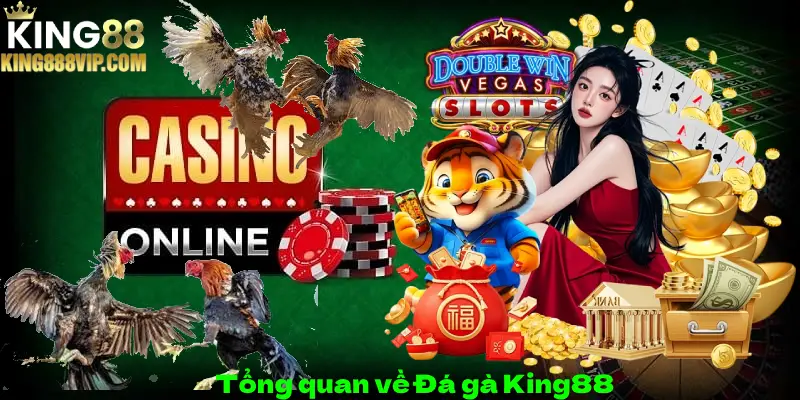 Tổng quan về Đá gà King88